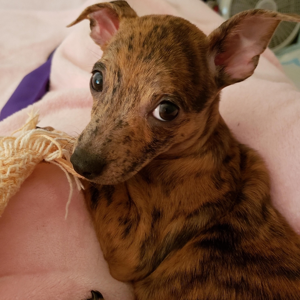 Meet your Posher, Sara